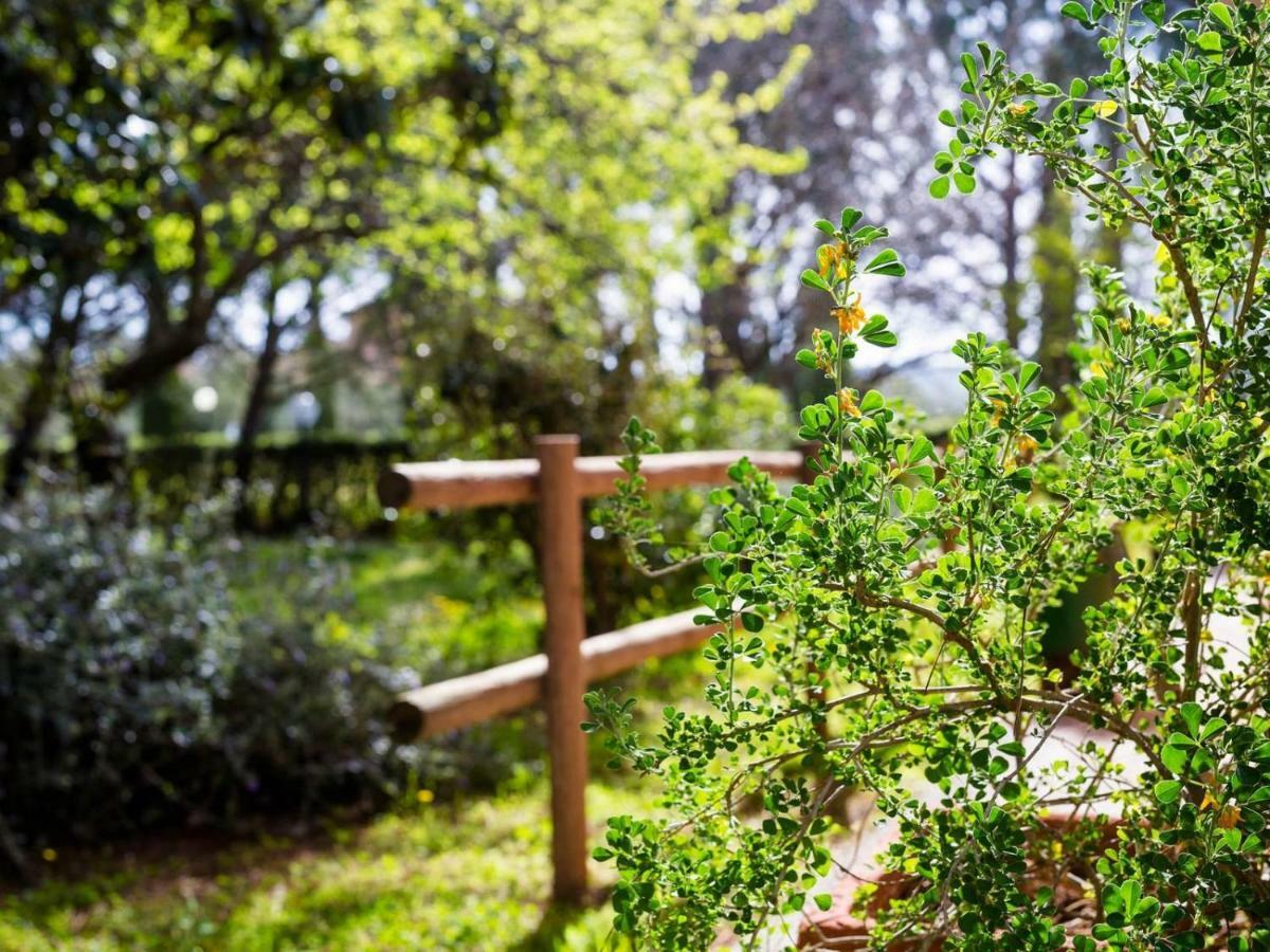 Agriturismo Alberese Sasso Rosso Villa Exterior foto